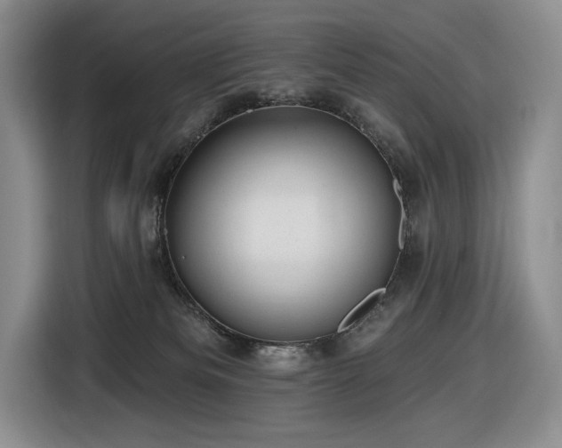X0000116610133200912111141
