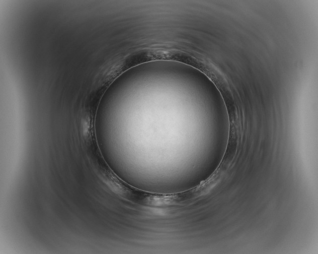 X0000116610134200912111141
