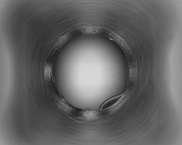 X0000116610142200912111141