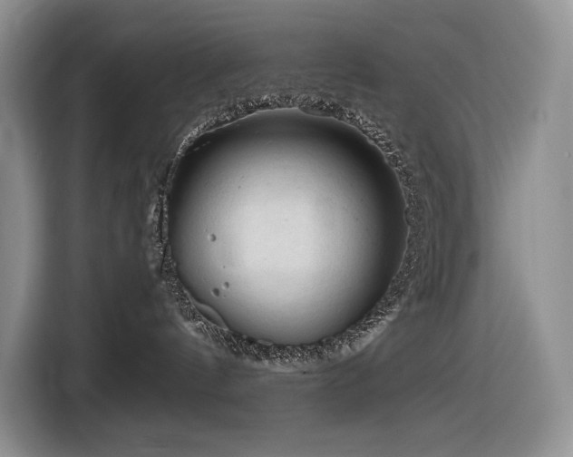 X0000116610144200912111141
