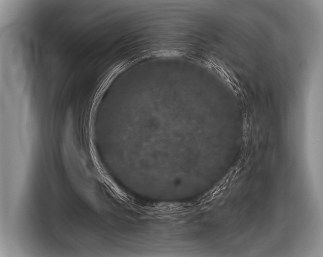 X0000116610145200912111141