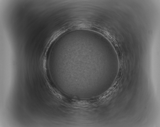 X0000116610146200912111141