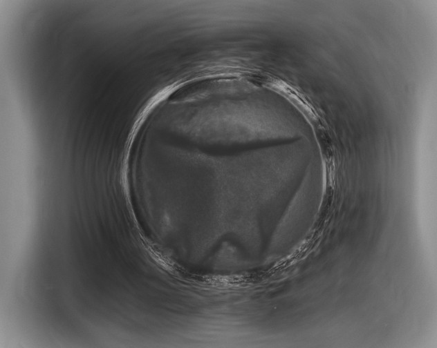 X0000116610147200912111141