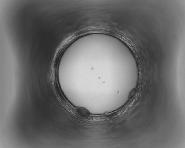 X0000116610149200912111141