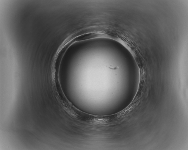 X0000116610150200912111141