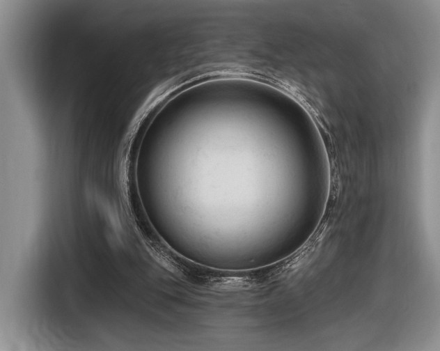 X0000116610151200912111141