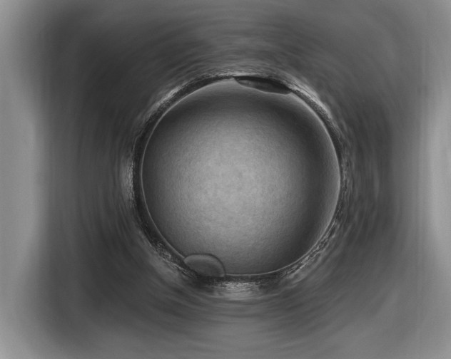 X0000116610154200912111141