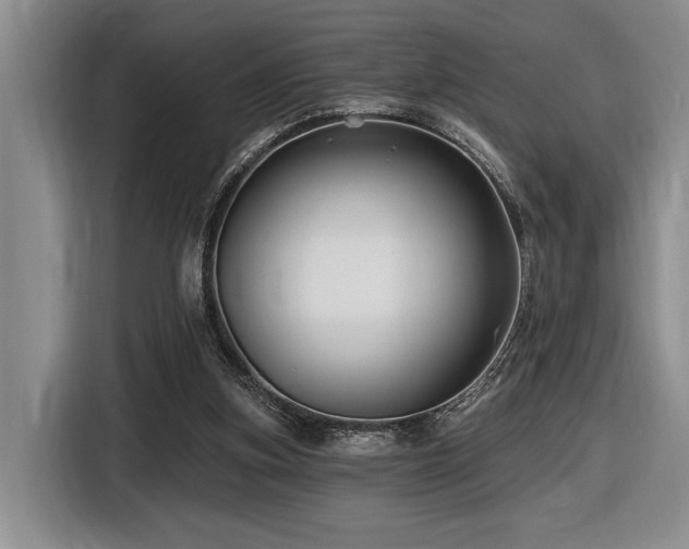 X0000116610155200912111141