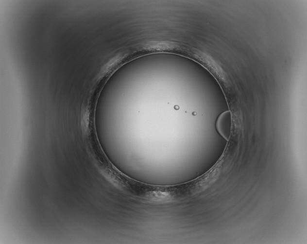 X0000116610159200912111141
