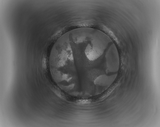 X0000116610161200912111141