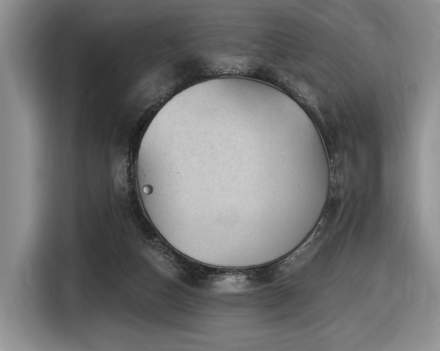 X0000116610162200912111141