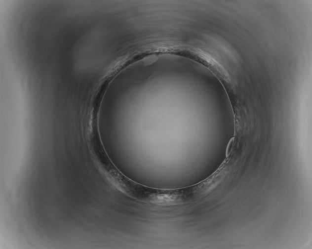 X0000116610163200912111141