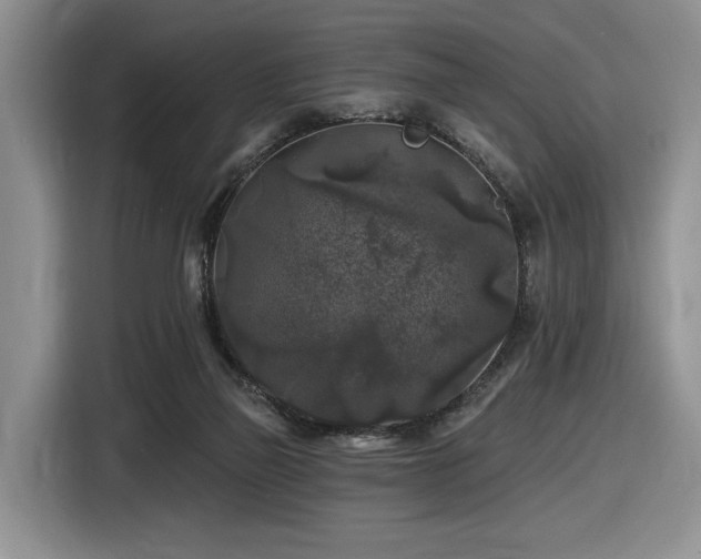 X0000116610165200912111141