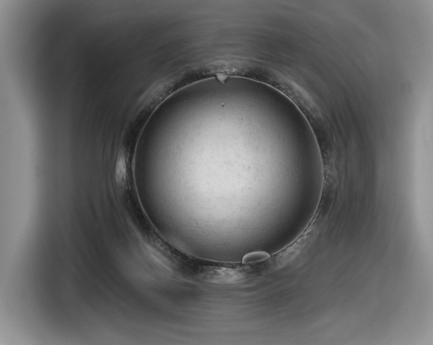 X0000116610166200912111141