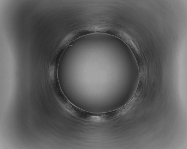 X0000116610167200912111141