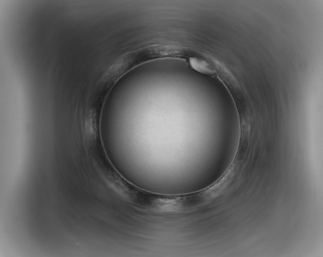 X0000116610170200912111141