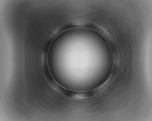 X0000116610171200912111141