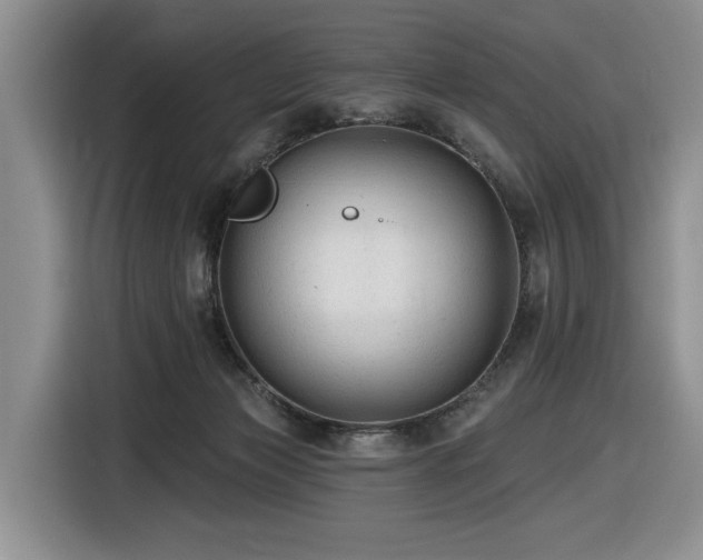 X0000116610173200912111141