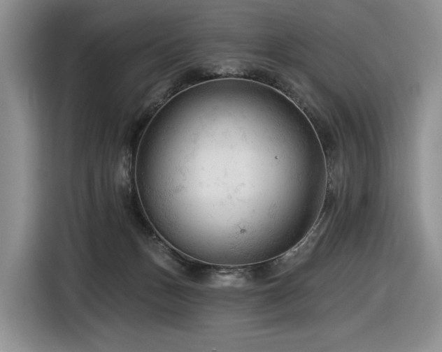 X0000116610175200912111141