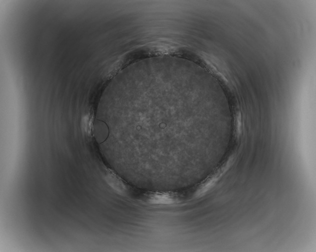 X0000116610177200912111141