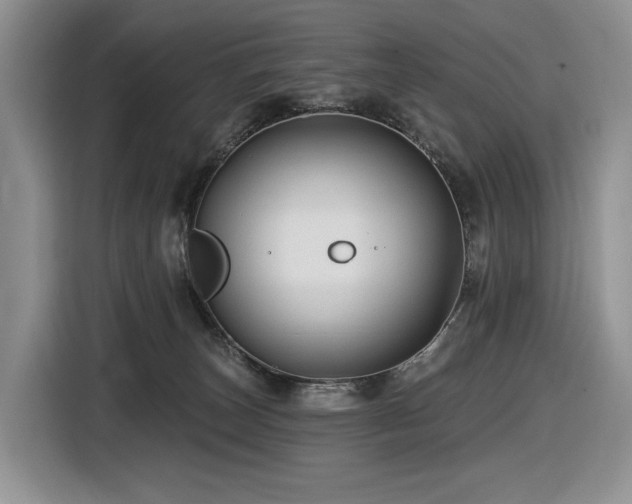 X0000116610179200912111141