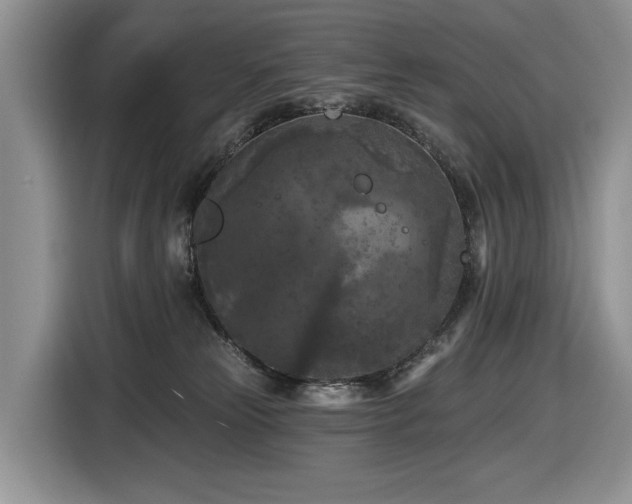 X0000116610181200912111141