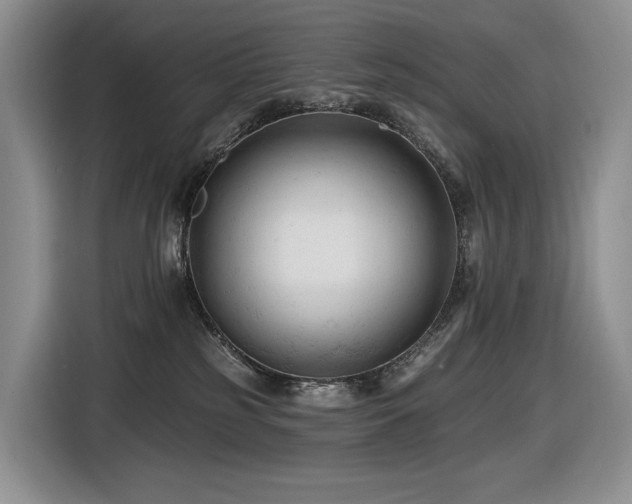 X0000116610185200912111141