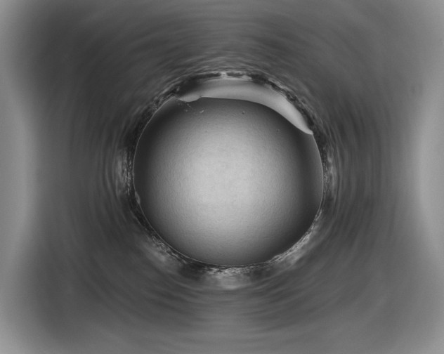 X0000116610186200912111141