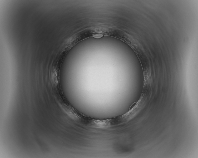 X0000116610187200912111141