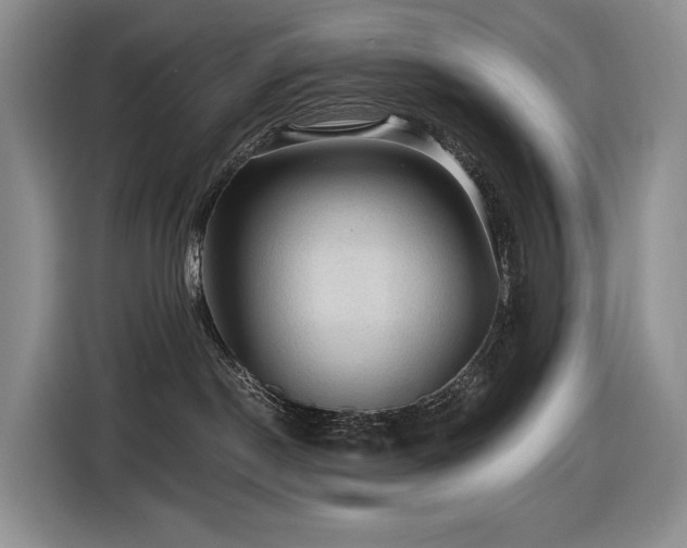 X0000116610190200912111141