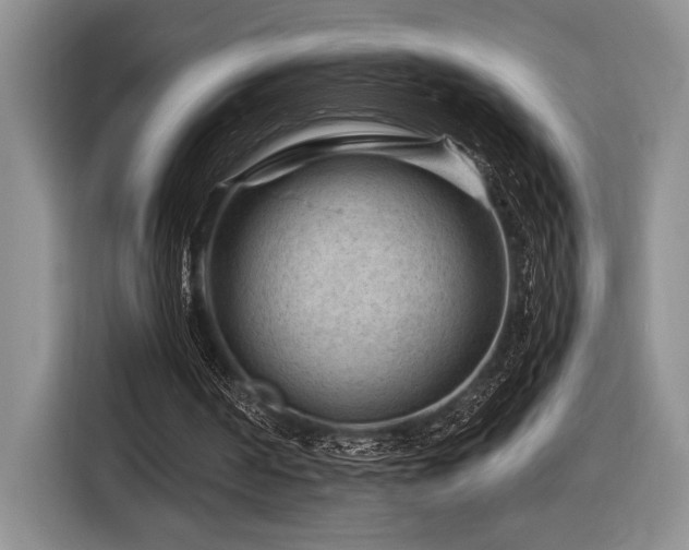 X0000116610194200912111141