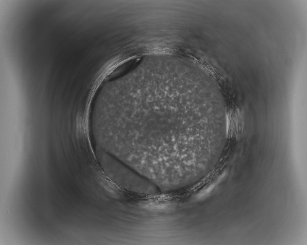 X0000116610195200912111141