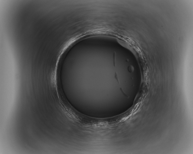 X0000116610196200912111141