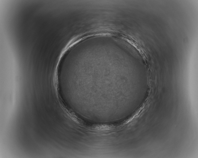 X0000116610198200912111141