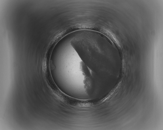 X0000116610202200912111141