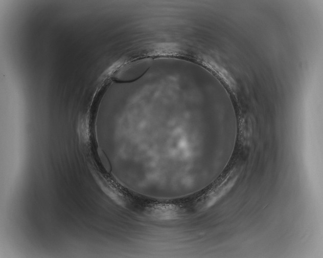 X0000116610203200912111141