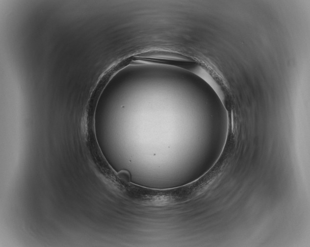 X0000116610204200912111141