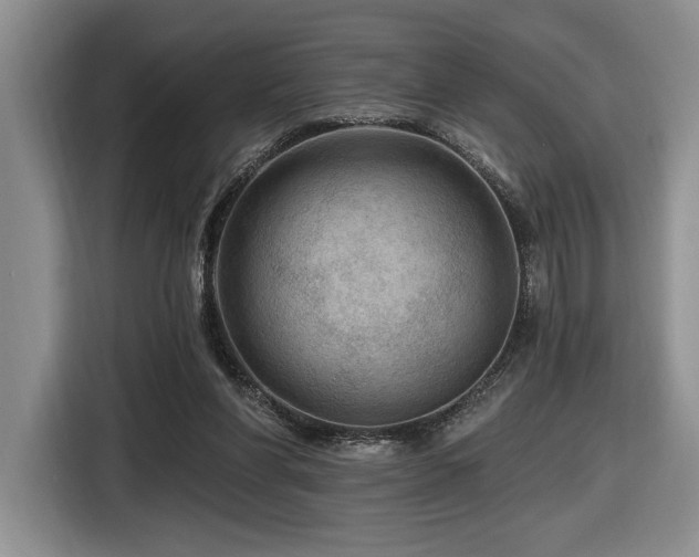 X0000116610206200912111141
