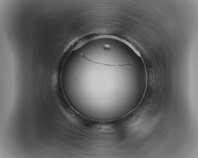 X0000116610208200912111141