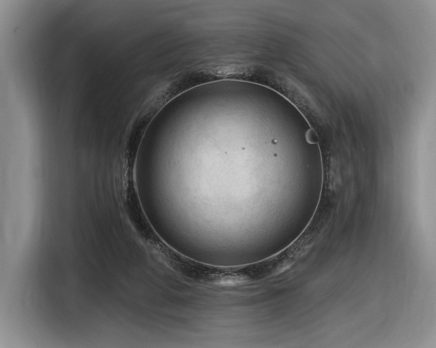 X0000116610210200912111140