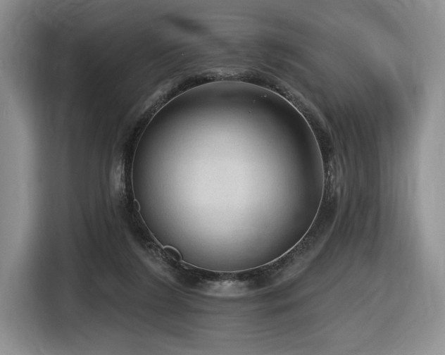 X0000116610212200912111140