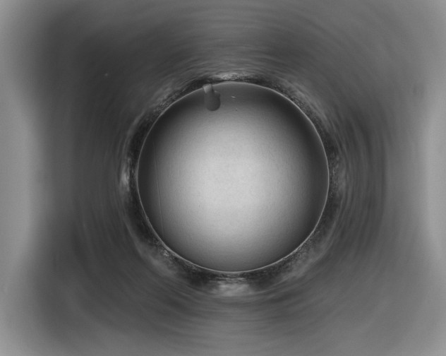 X0000116610214200912111140