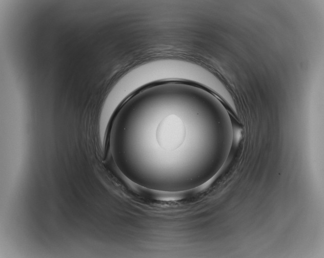 X0000116610215200912111140