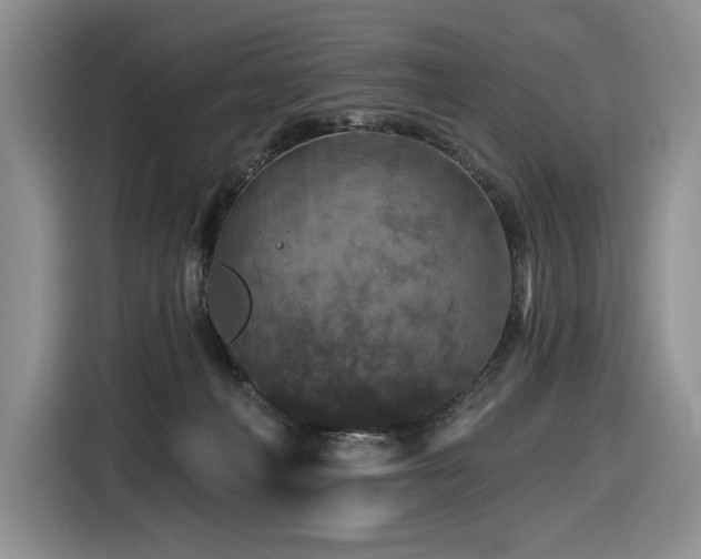 X0000116610222200912111140