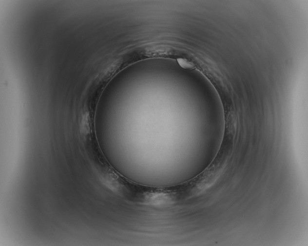 X0000116610224200912111140