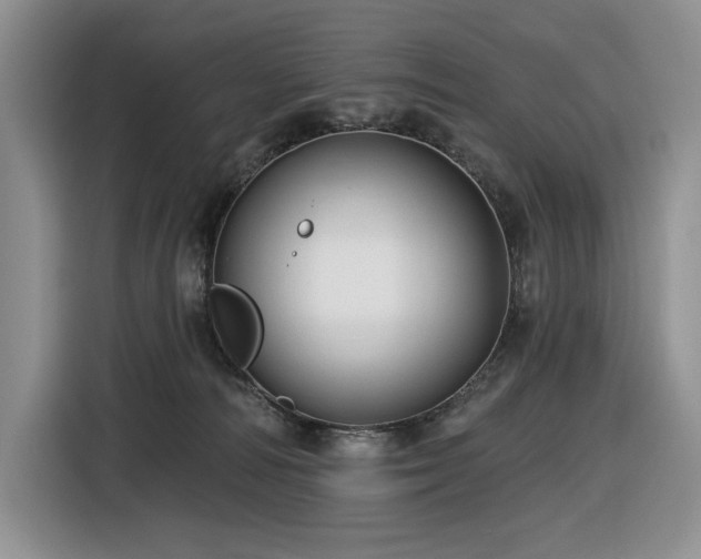 X0000116610226200912111140