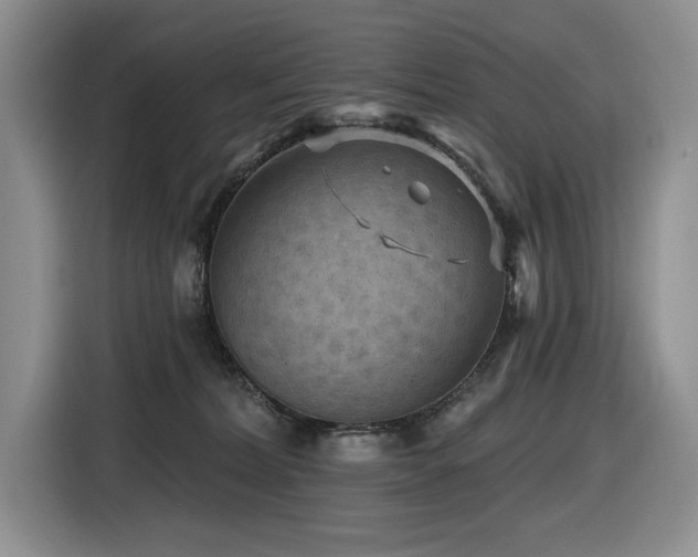 X0000116610228200912111140