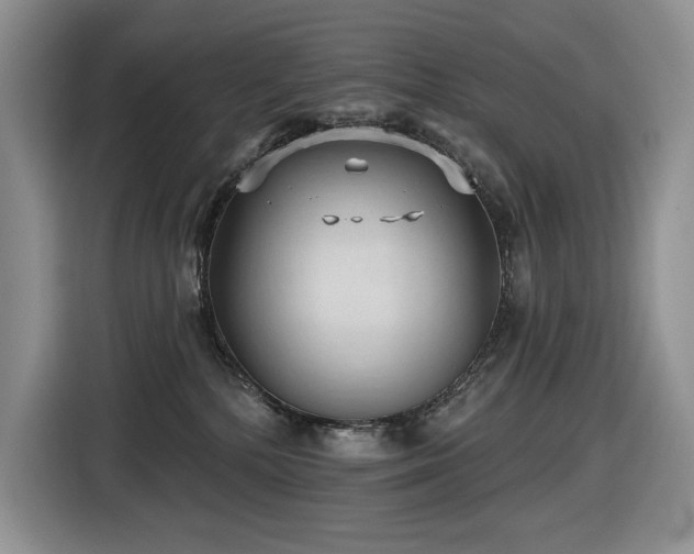 X0000116610232200912111140