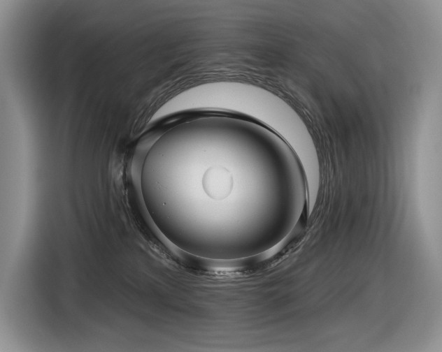 X0000116610233200912111140
