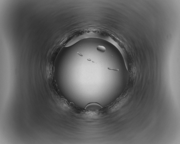 X0000116610236200912111140
